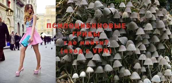 ПСИЛОЦИБИНОВЫЕ ГРИБЫ Покачи