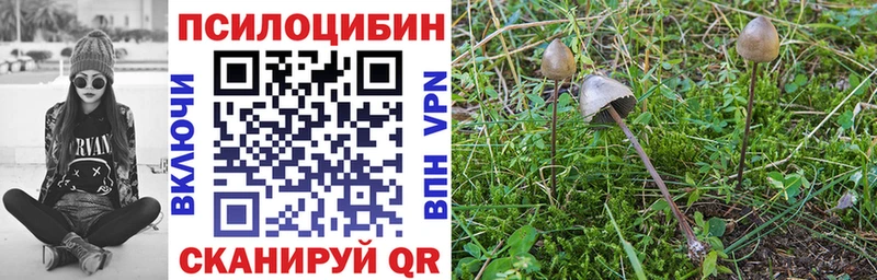 мега ONION  Алапаевск  Галлюциногенные грибы мухоморы 