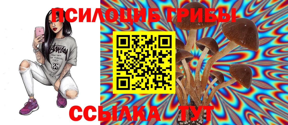 Галлюциногенные грибы прущие грибы Алапаевск