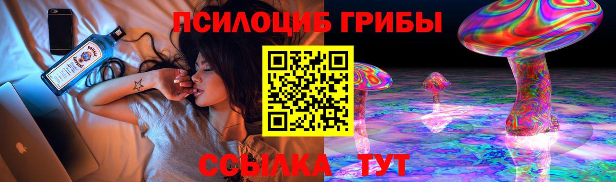 Алапаевск  Псилоцибиновые грибы Psilocybe  Вход с VPN 